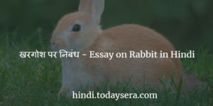 खरगोश पर निबंध - Essay on Rabbit in Hindi