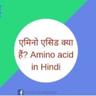 एमिनो एसिड क्या हैं Amino acid in Hindi
