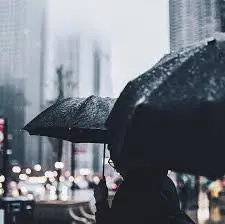 10 Lines on Rainy Days in Hindi | वर्षा ऋतू पर १० पंक्तियाँ हिंदी में