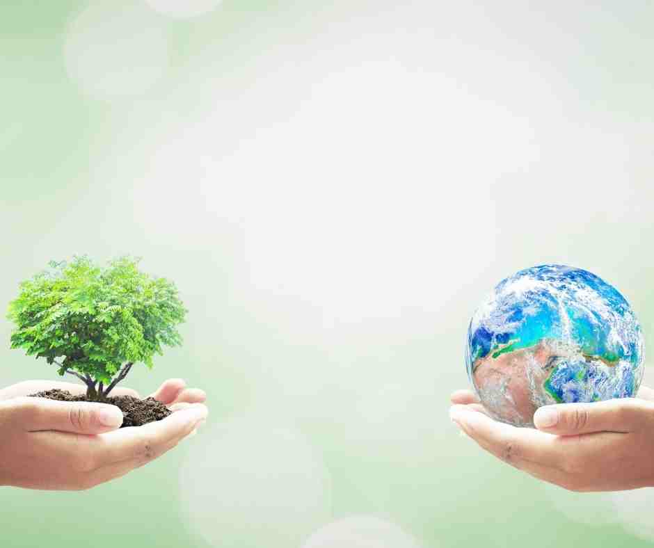 10 Lines on Save Earth in Hindi धरती बचाओ पर १० पंक्तियाँ हिंदी मे